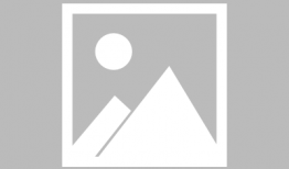 熊猫爬树视频,萌态可掬的森林舞者